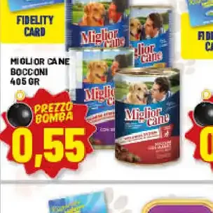 Miglior Cane bocconi