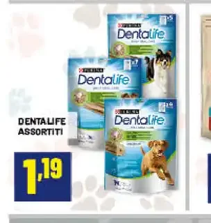 Dentalife assortiti