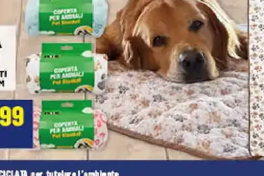 Noè coperta animali