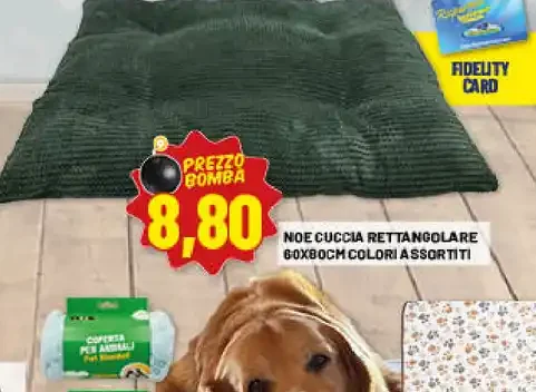 Noè cuccia rettangolare