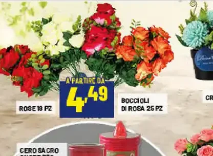 Boccioli di rosa