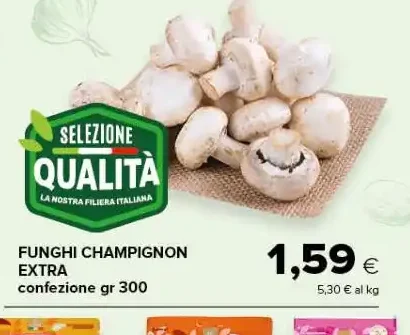 Funghi champignon