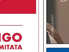 Birra Stella Artois Lattina