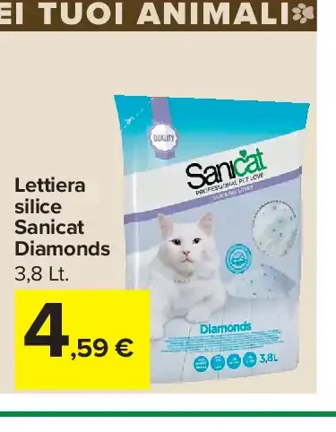 Lettiera per gatti
