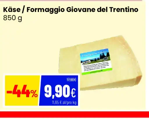 Formaggio giovane del Trentino
