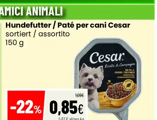 Paté per cani Cesar