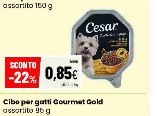 Paté per cani Cesar