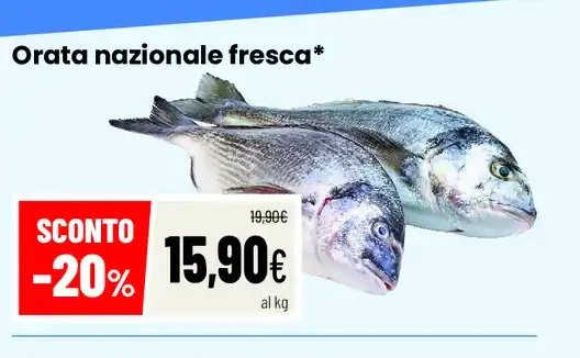 Orata nazionale fresca