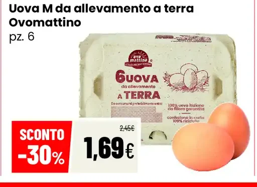 Uova da allevamento a terra