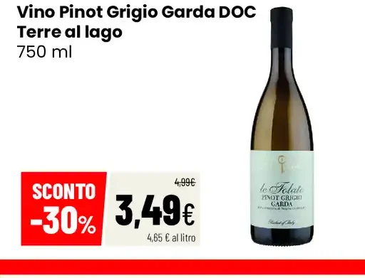 Vino Pinot Grigio Garda DOC Terre al lago