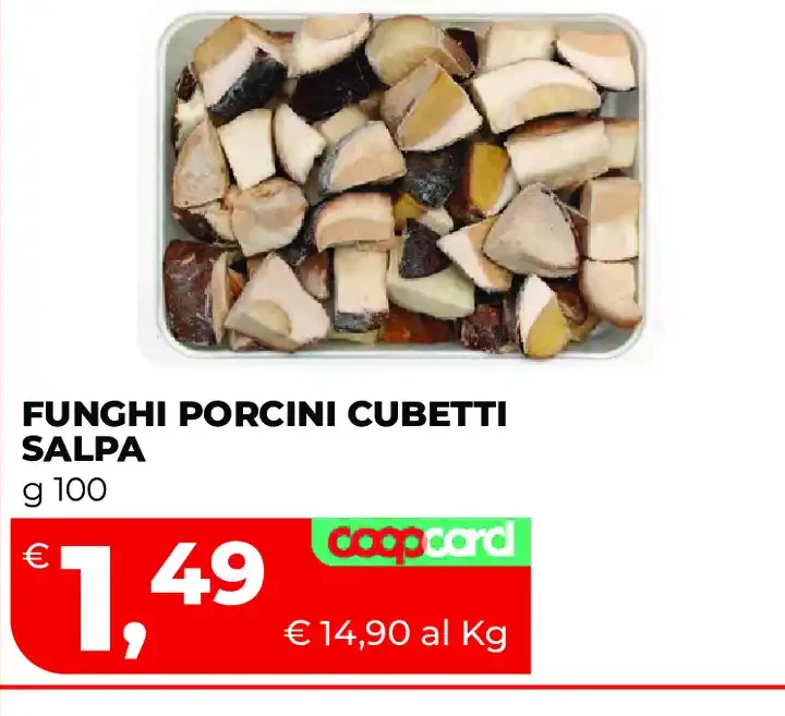 Funghi porcini cubetti Salpa