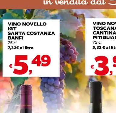Vino novello IGT Santa Costanza Banfi