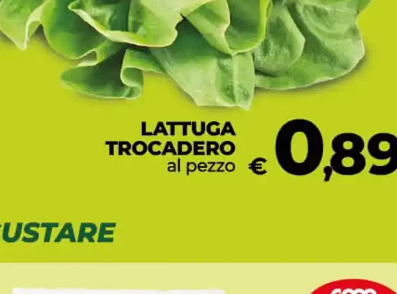 Lattuga Trocadero