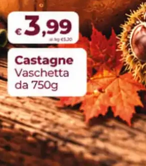 Castagne Vaschetta