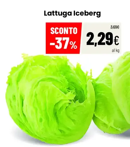 Lattuga Iceberg