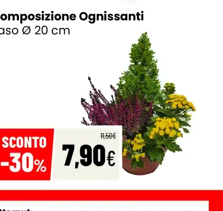 Composizione Ognissanti