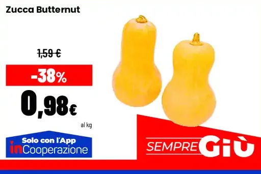 Zucca Butternut