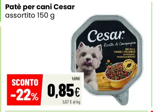 Paté per cani Cesar assortito