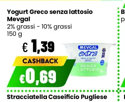 Yogurt Greco senza lattosio Meygal