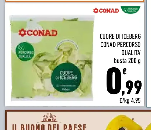 Cuore di iceberg