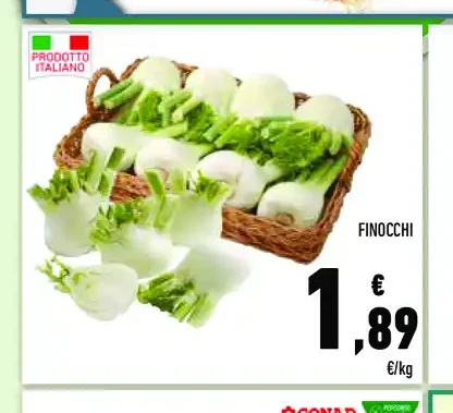 Finocchi