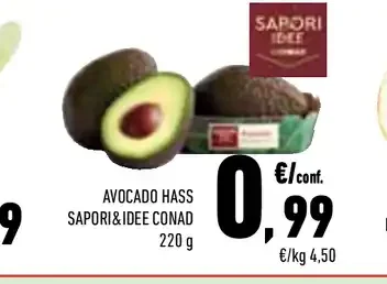 Avocado Hass