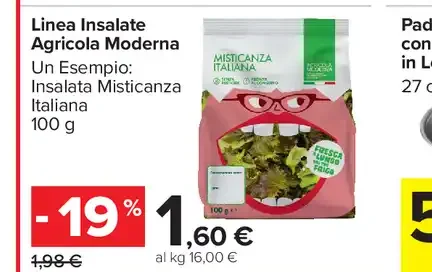 Linea insalate agricola moderna