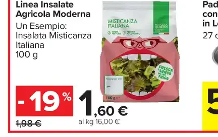 Linea insalate agricola moderna
