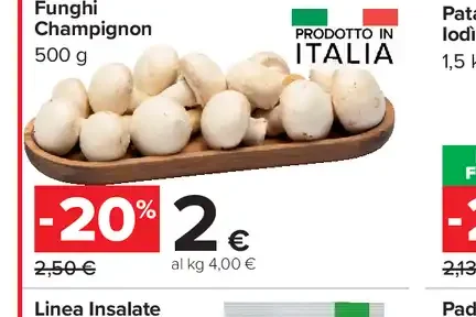 Funghi champignon