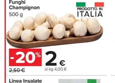 Funghi champignon