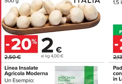 Funghi champignon