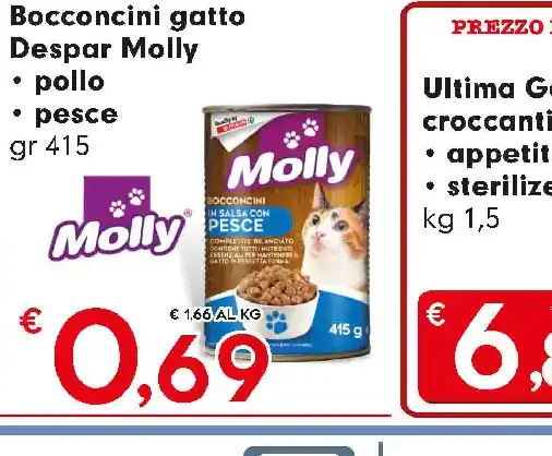 Bocconcini gatto