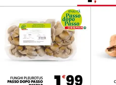 Funghi Pleurotus Passo dopo Passo Despar