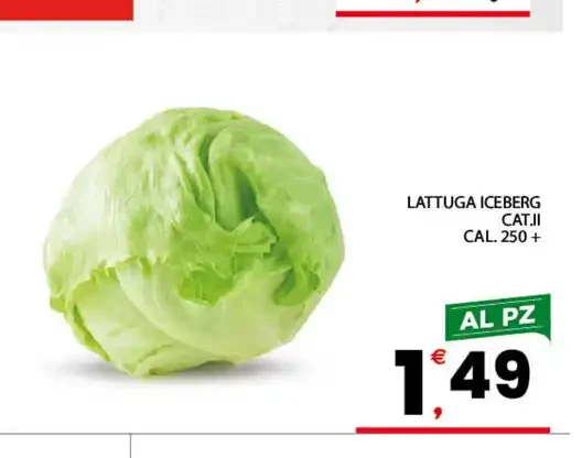 Lattuga Iceberg