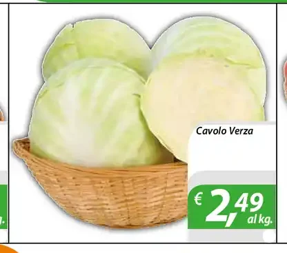 Cavolo Verza