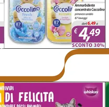 Ammorbidente concentrato Coccolino