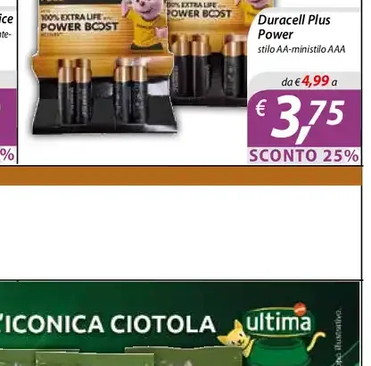 Duracell Plus Power