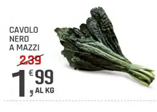 Cavolo nero
