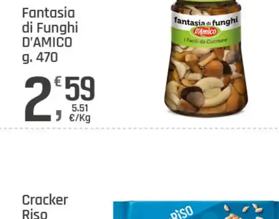 Funghi misti sottolio