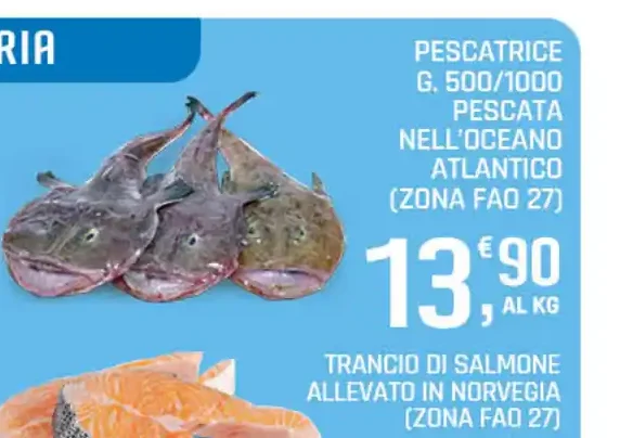 Pescatrice pescata nell'Oceano Atlantico