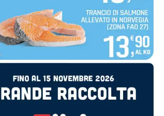 Trancio di salmone allevato in Norvegia