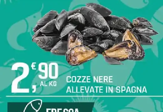 Cozze nere allevate in Spagna
