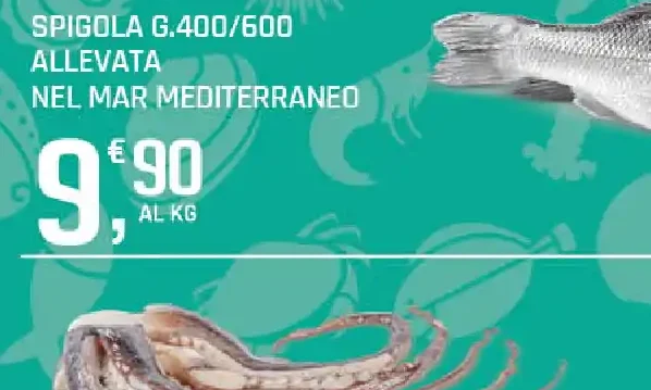 Spigola allevata nel Mar Mediterraneo