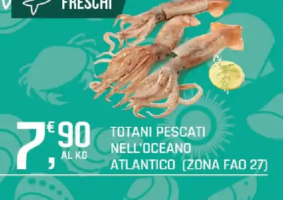 Totani pescati nell'Oceano Atlantico