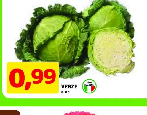 Verze
