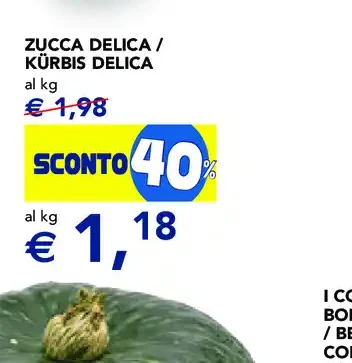 Zucca Delica