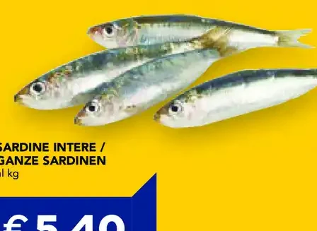 Sardine intere