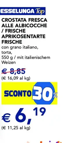Crostata fresca alle albicocche Esselunga Top