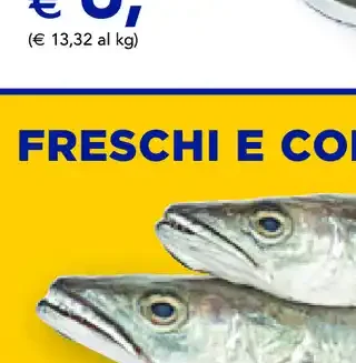Polpettone di salmone ai broccoli