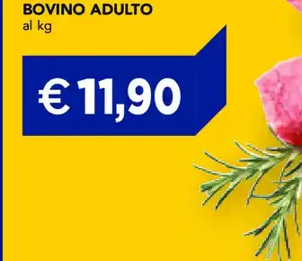 Spezzatino di bovino adulto